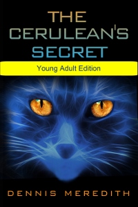 Web The Cerulean's Secret YAE cover